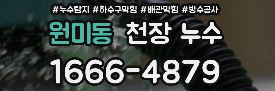 원미동 천장 누수