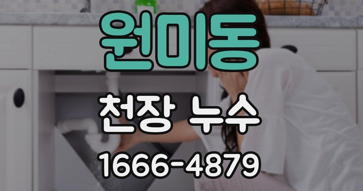 원미동 천장 누수