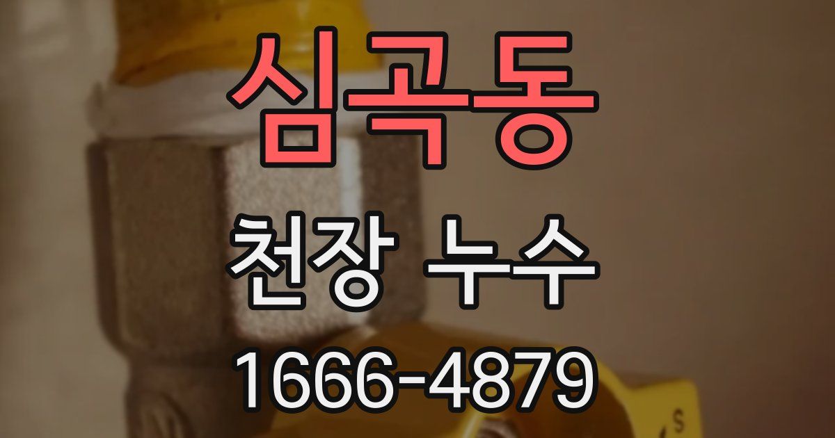 심곡동 천장 누수