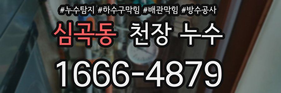 심곡동 천장 누수