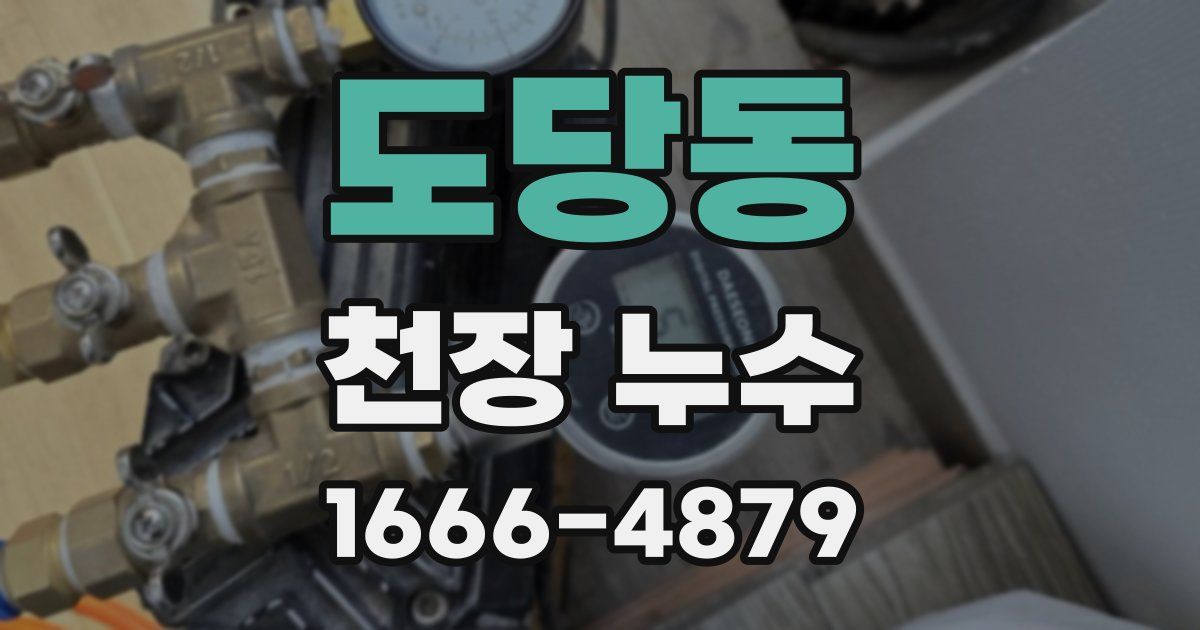 도당동 천장 누수