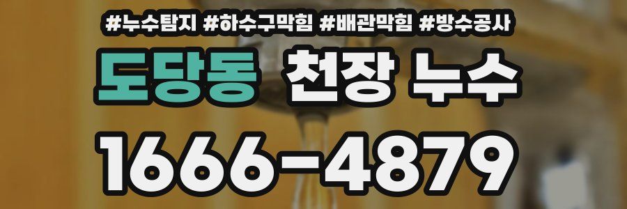 도당동 천장 누수