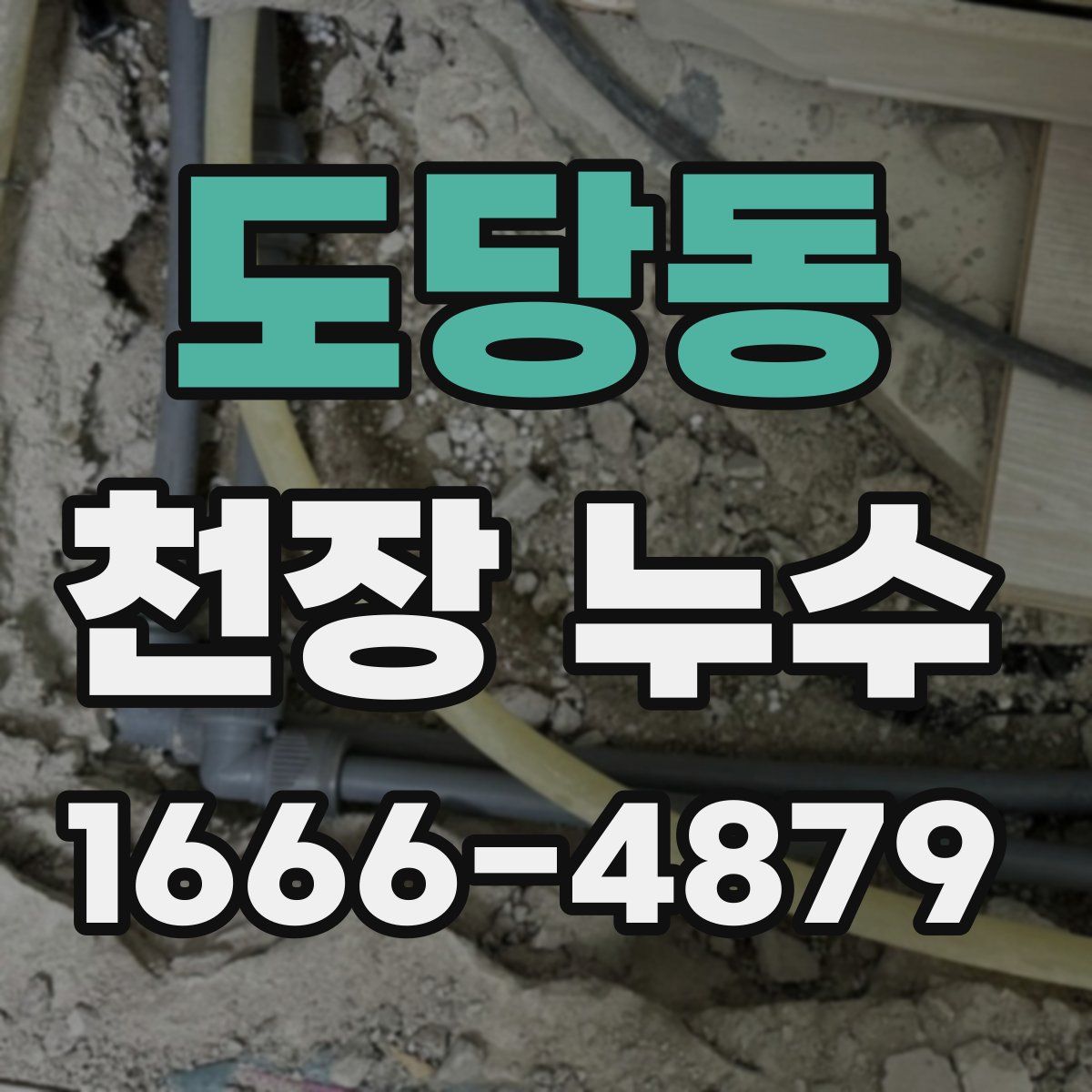 도당동 천장 누수