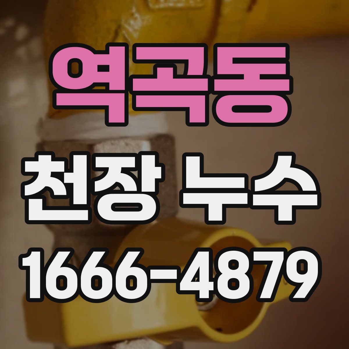 역곡동 천장 누수