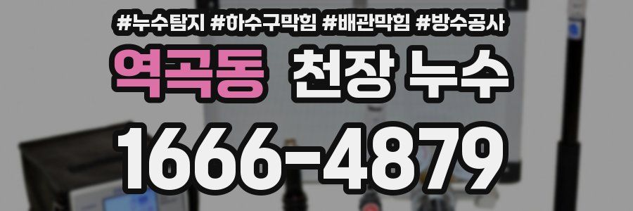 역곡동 천장 누수