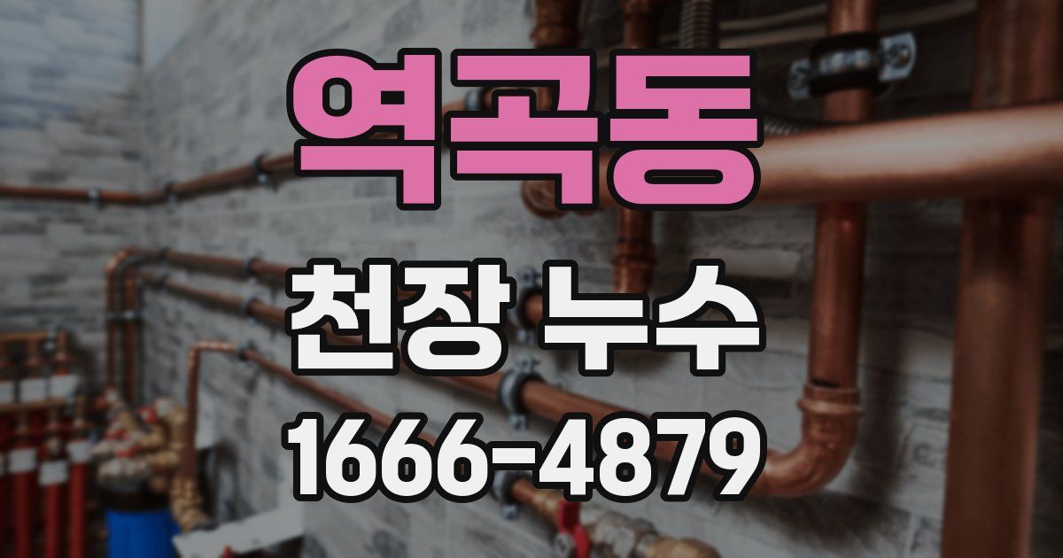 역곡동 천장 누수