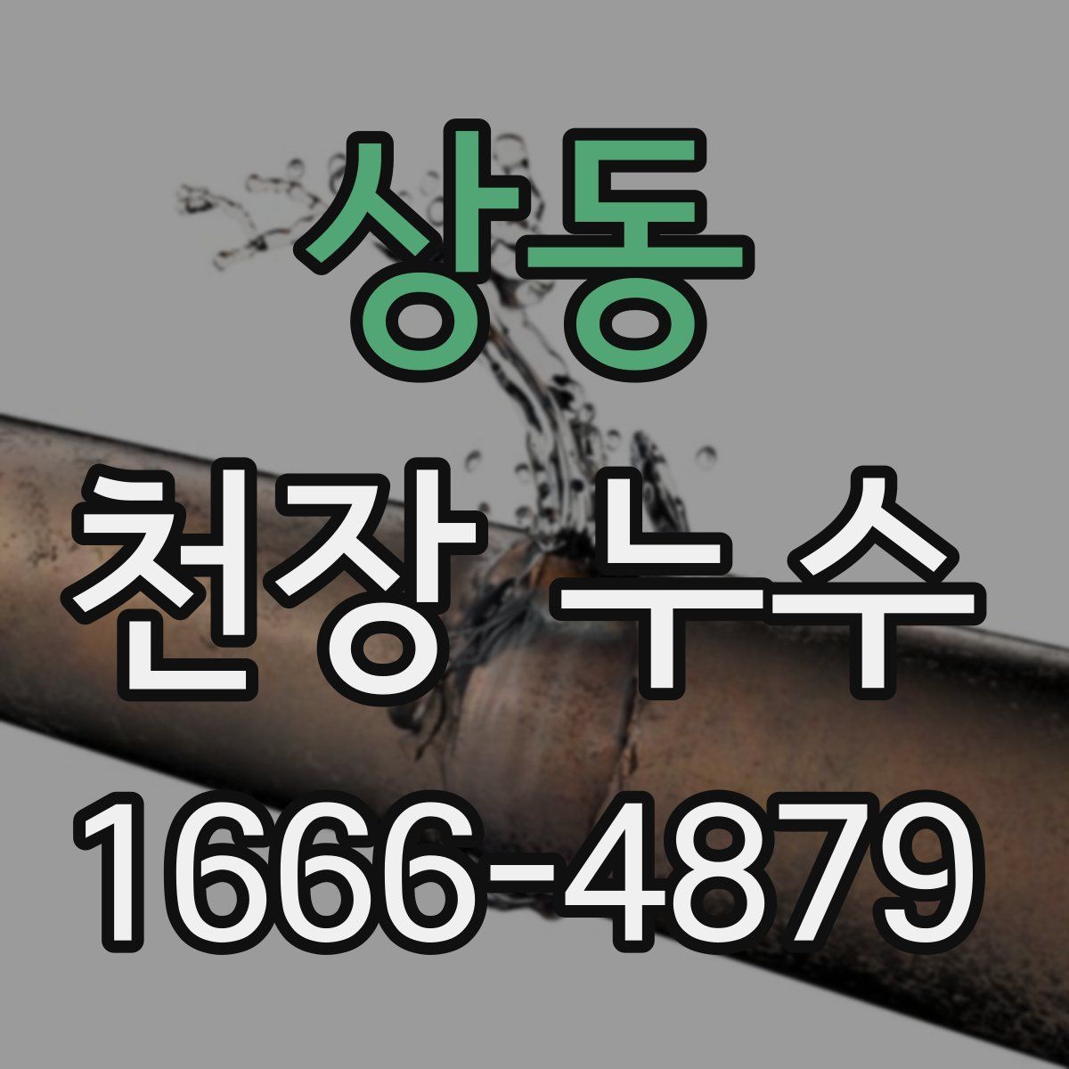 상동 천장 누수