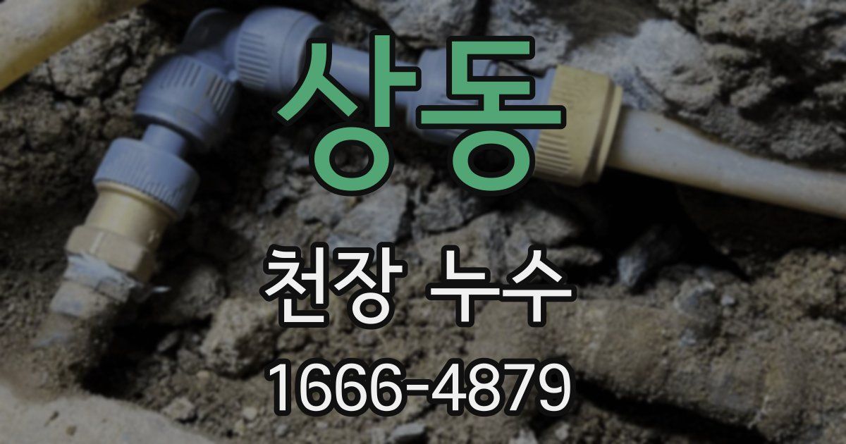 상동 천장 누수
