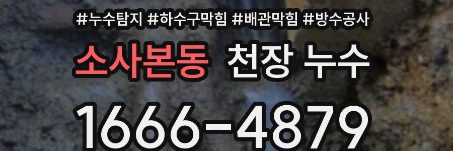 소사본동 천장 누수