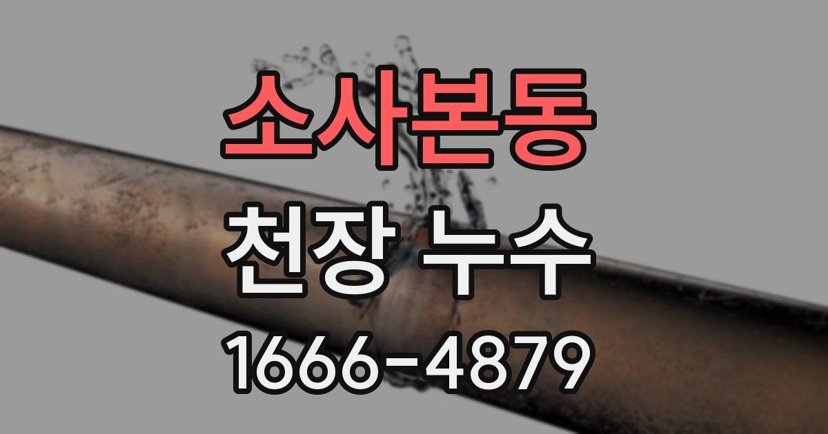 소사본동 천장 누수