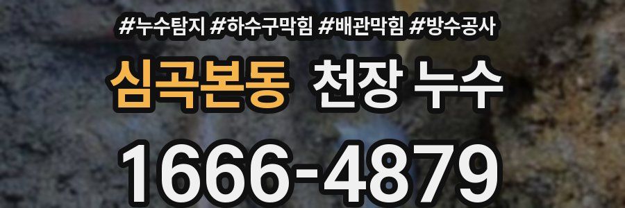 심곡본동 천장 누수