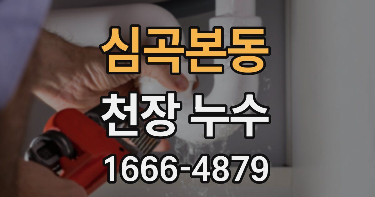 심곡본동 천장 누수