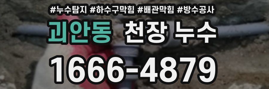 괴안동 천장 누수