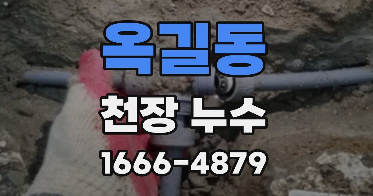 옥길동 천장 누수