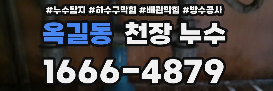 옥길동 천장 누수