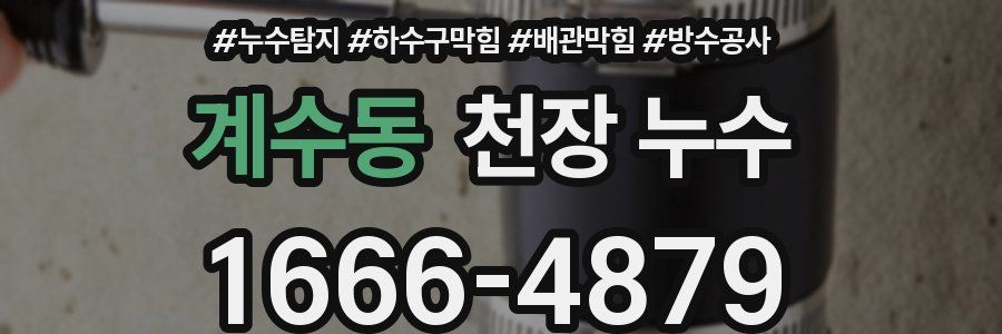 계수동 천장 누수