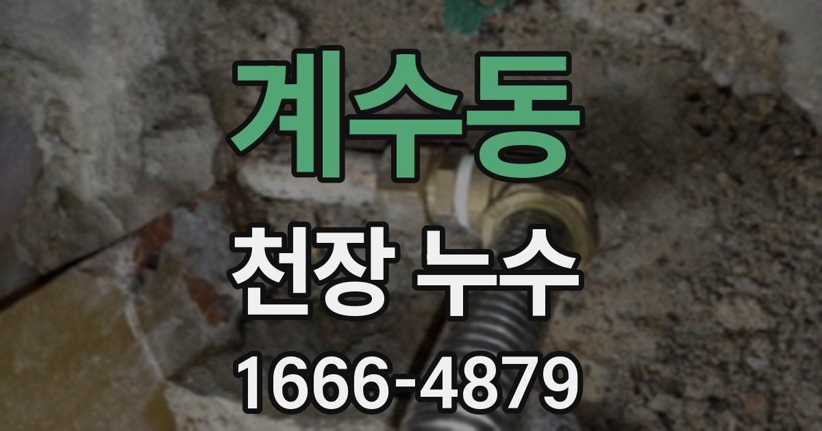 계수동 천장 누수