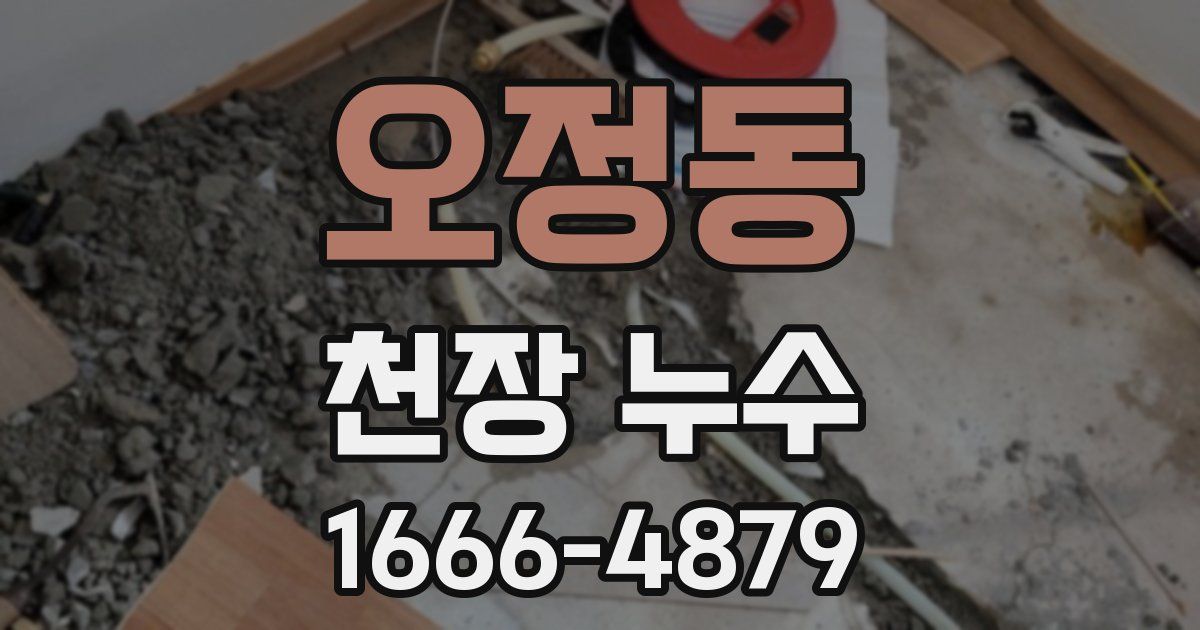 오정동 천장 누수
