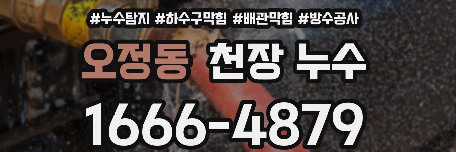오정동 천장 누수