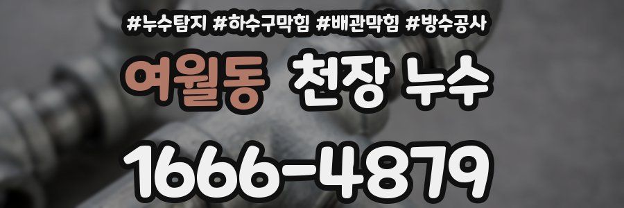 여월동 천장 누수