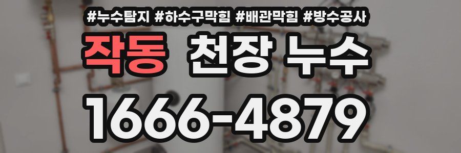 작동 천장 누수