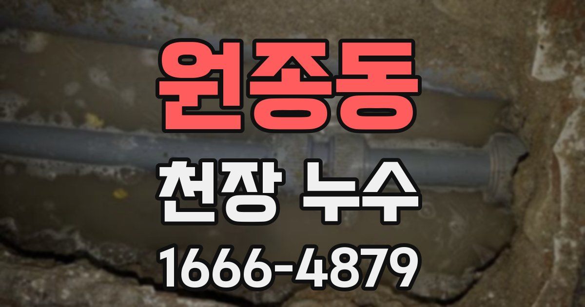 원종동 천장 누수