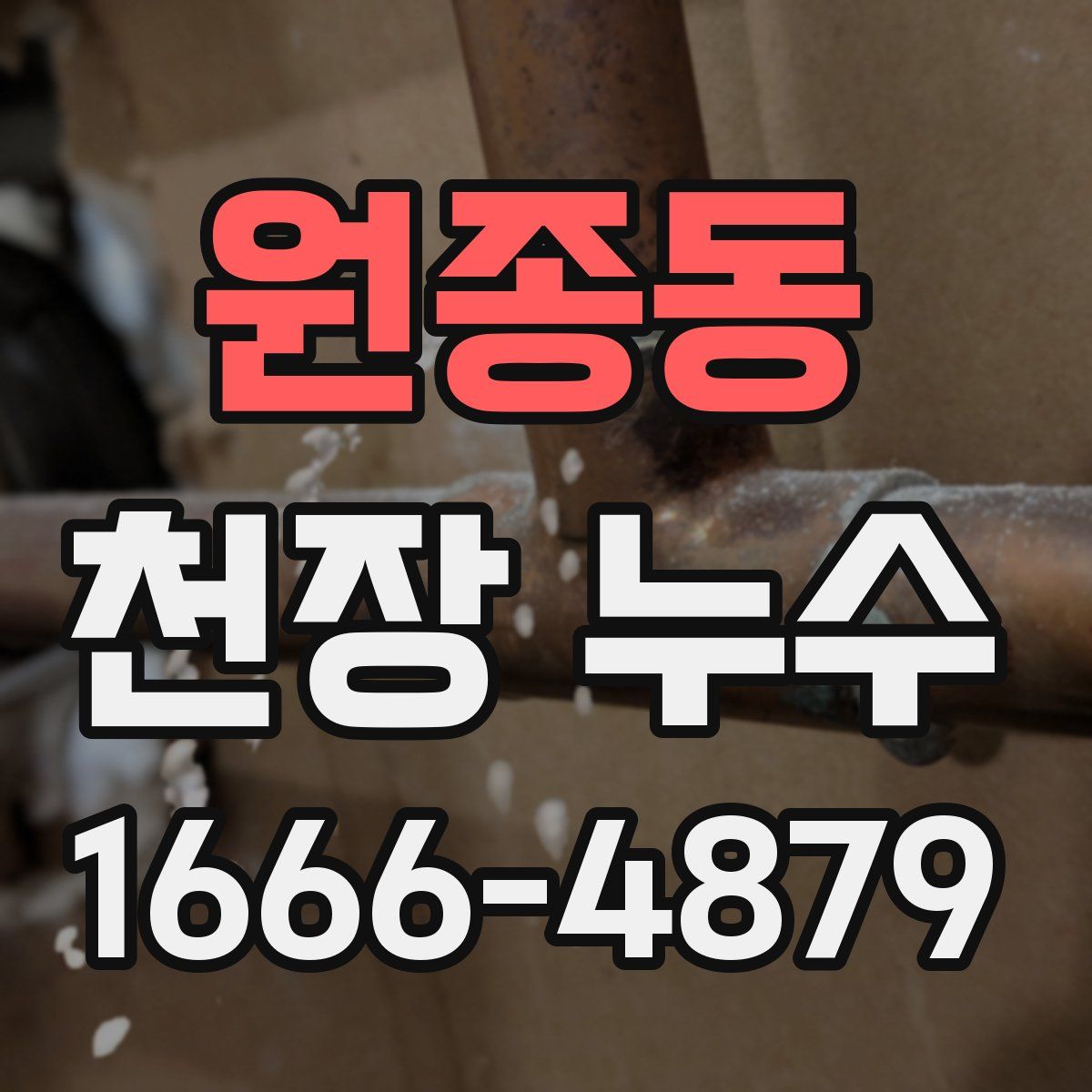 원종동 천장 누수