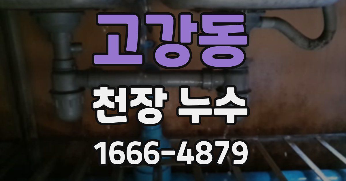 고강동 천장 누수