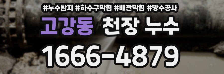 고강동 천장 누수