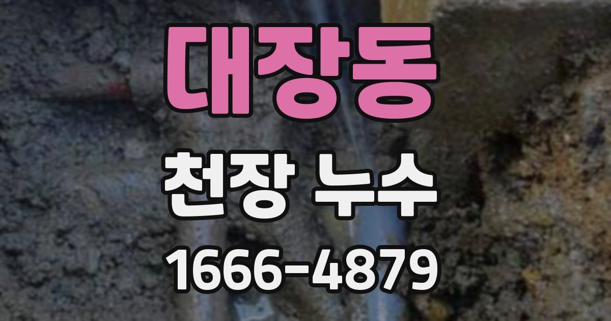 대장동 천장 누수