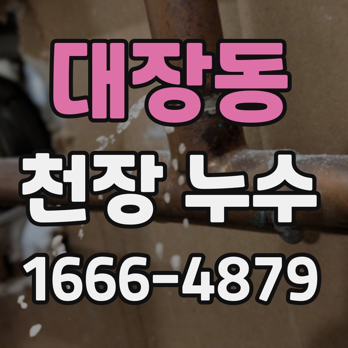 대장동 천장 누수