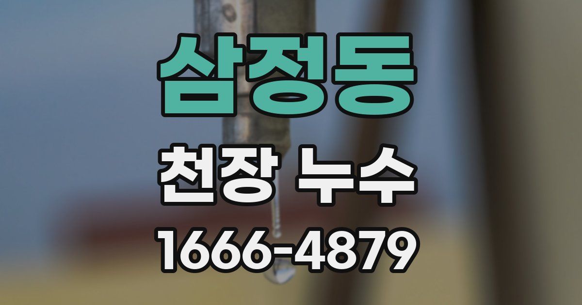 삼정동 천장 누수