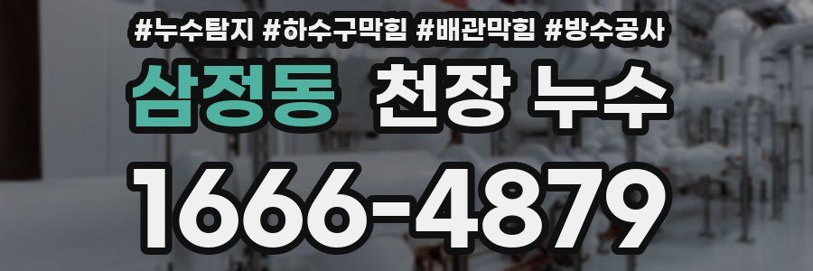 삼정동 천장 누수