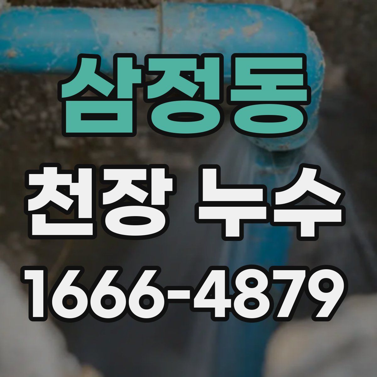 삼정동 천장 누수