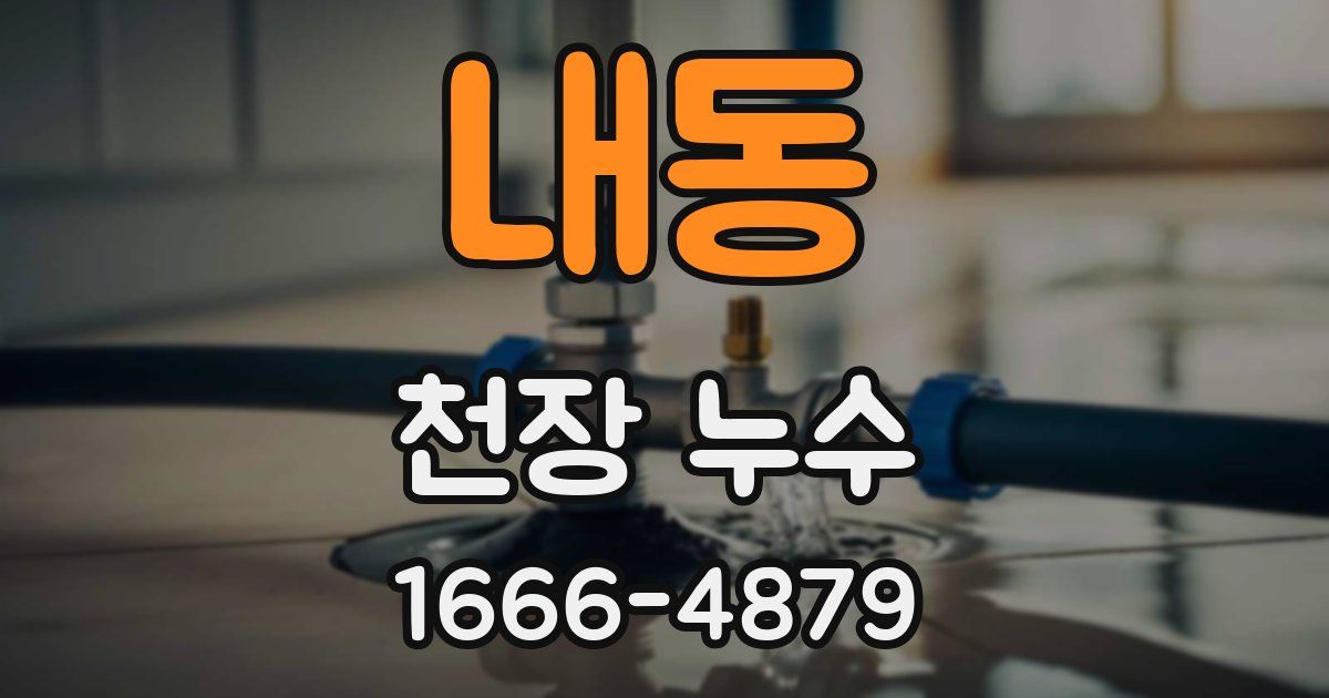 내동 천장 누수