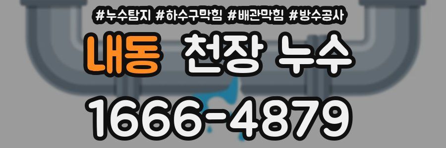 내동 천장 누수