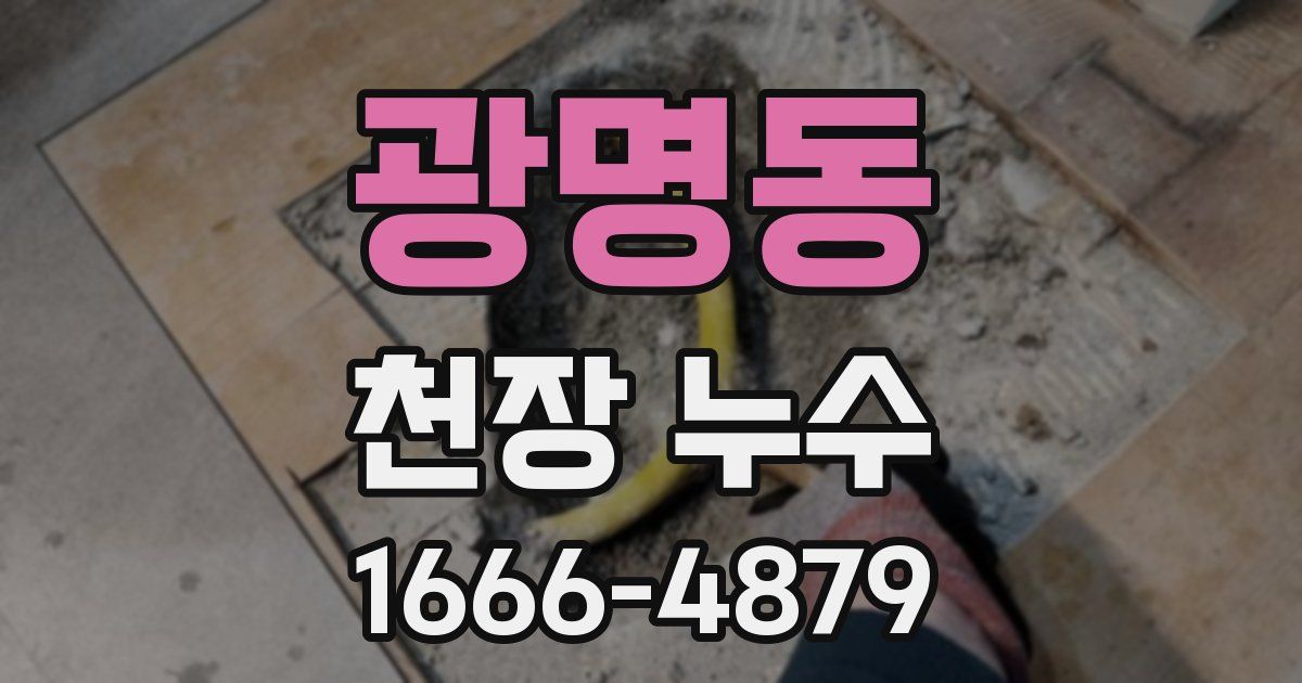 광명동 천장 누수