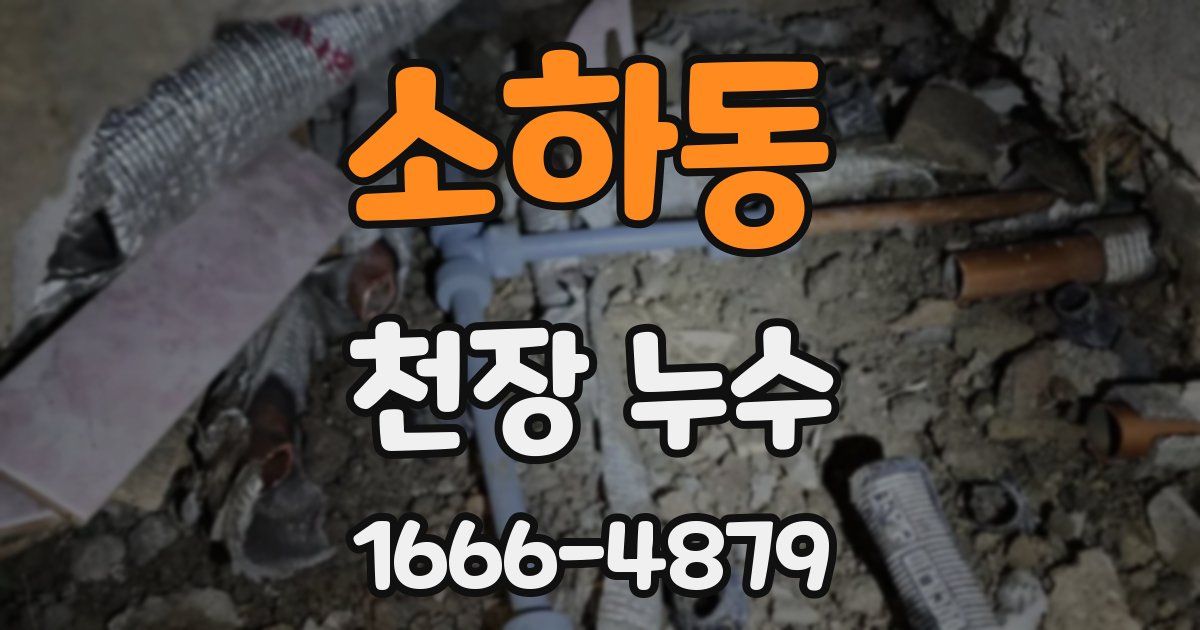 소하동 천장 누수