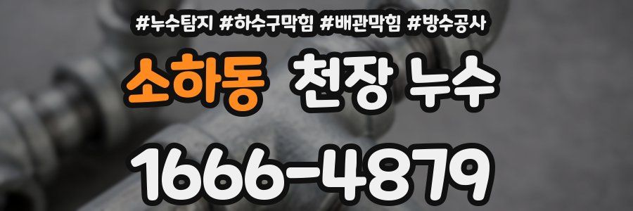 소하동 천장 누수