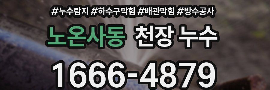 노온사동 천장 누수