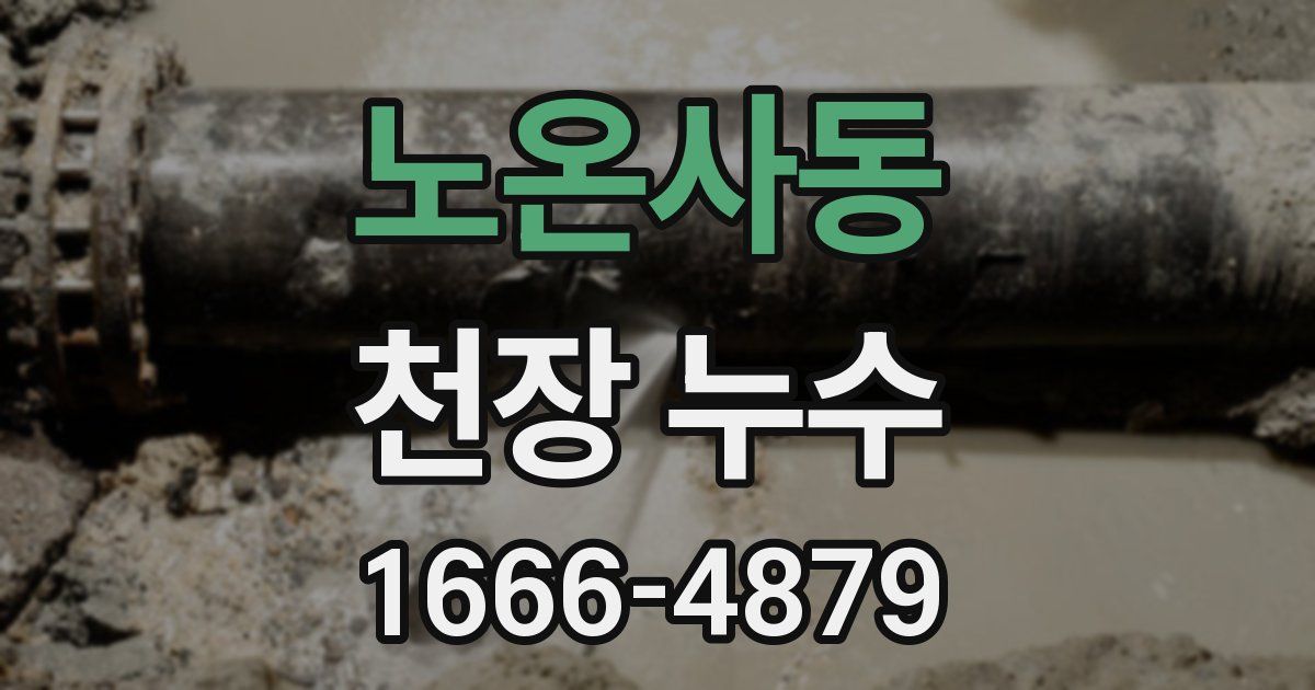 노온사동 천장 누수