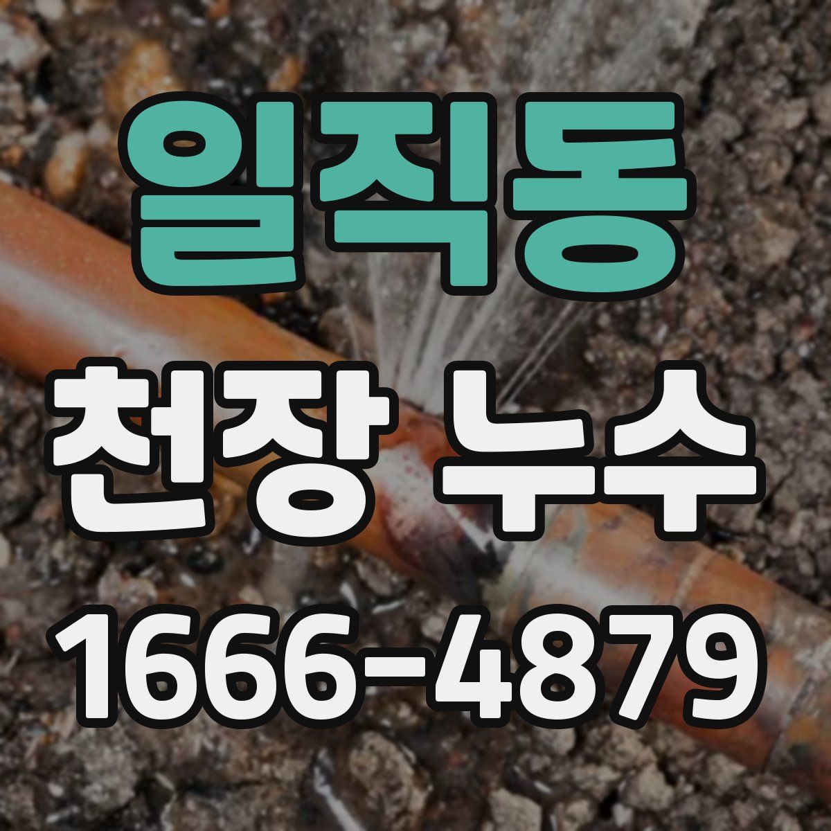 일직동 천장 누수