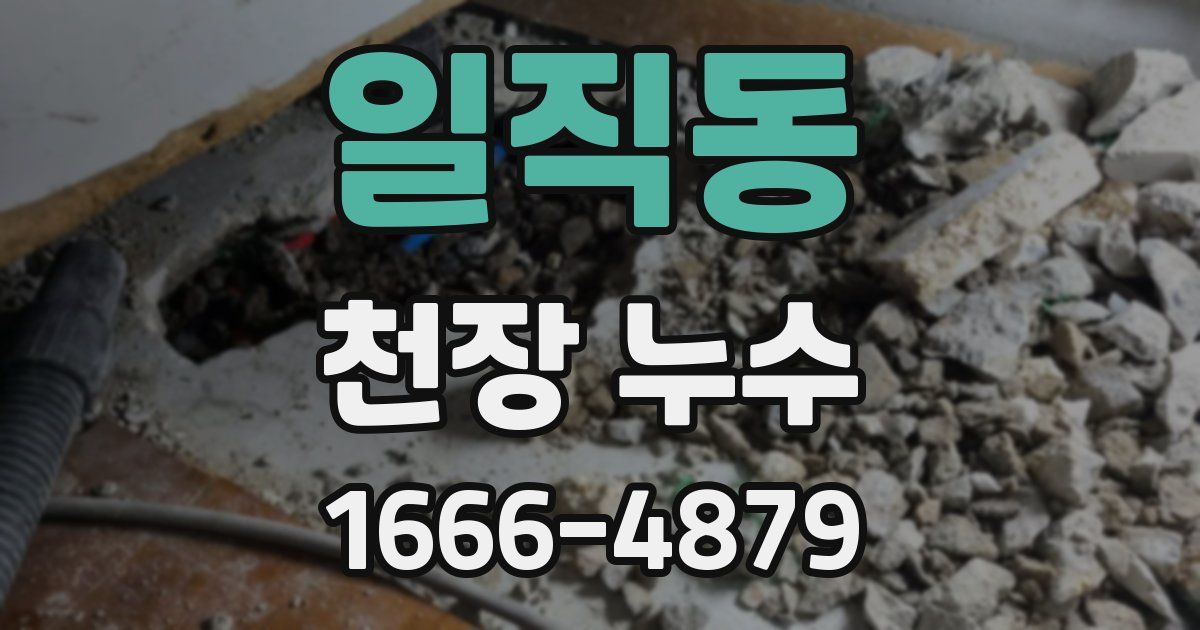 일직동 천장 누수