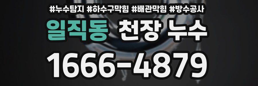 일직동 천장 누수