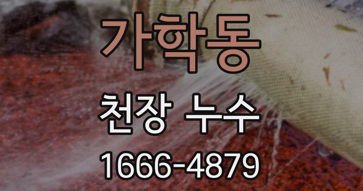 가학동 천장 누수