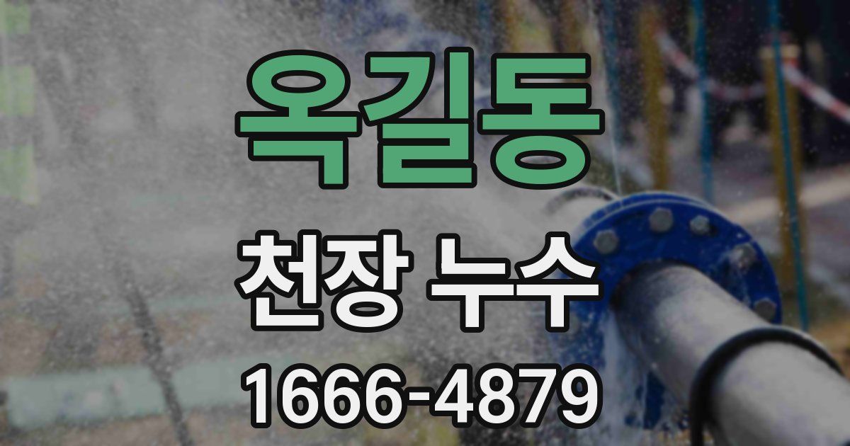 옥길동 천장 누수
