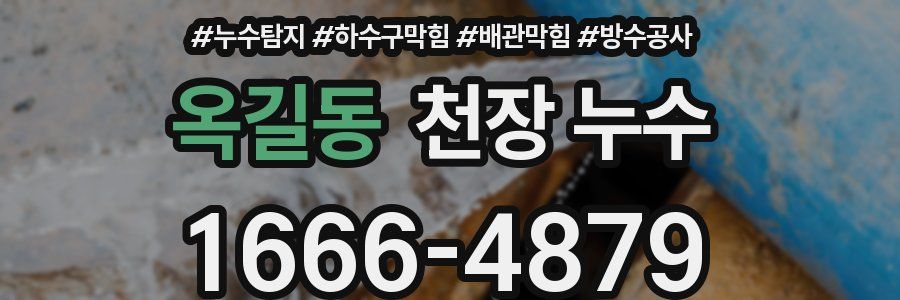 옥길동 천장 누수