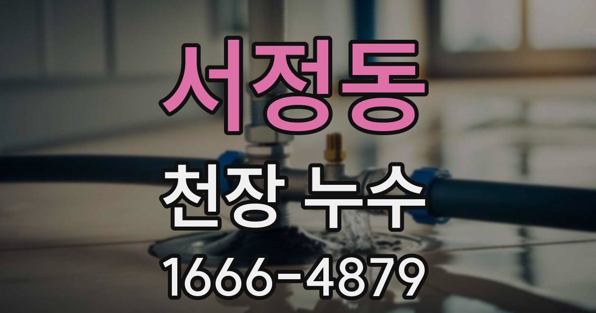 서정동 천장 누수