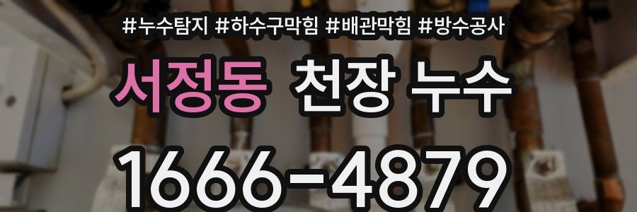 서정동 천장 누수