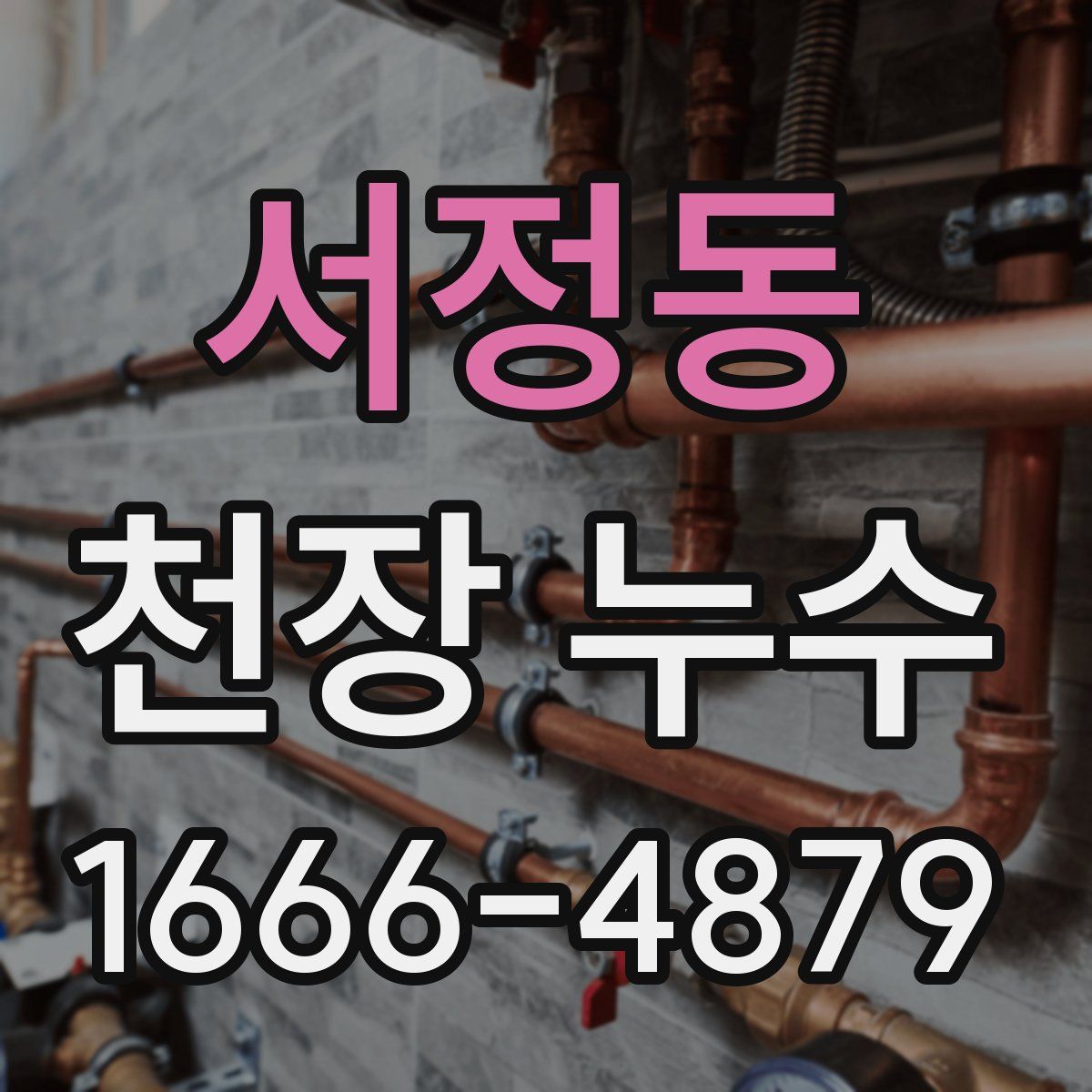 서정동 천장 누수
